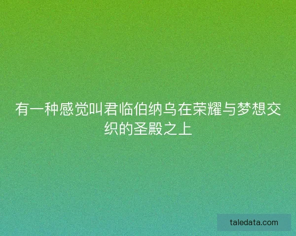 有一种感觉叫君临伯纳乌在荣耀与梦想交织的圣殿之上
