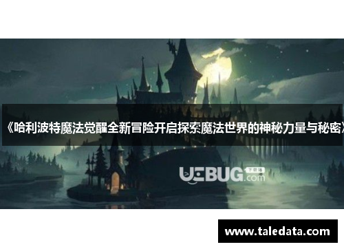 《哈利波特魔法觉醒全新冒险开启探索魔法世界的神秘力量与秘密》