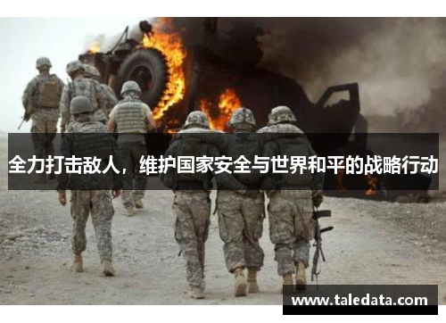 全力打击敌人，维护国家安全与世界和平的战略行动