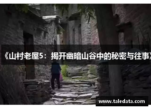 《山村老屋5：揭开幽暗山谷中的秘密与往事》