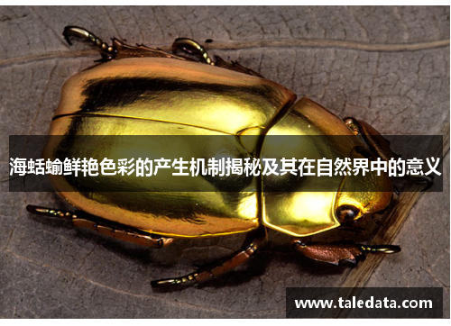 海蛞蝓鲜艳色彩的产生机制揭秘及其在自然界中的意义